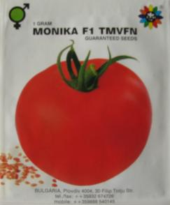 Tomatoes Monica F1