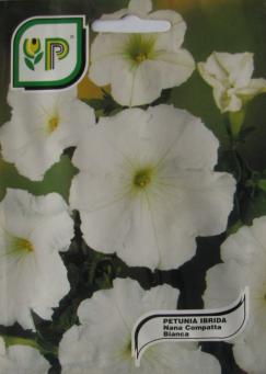 Petunia White Hybrid
