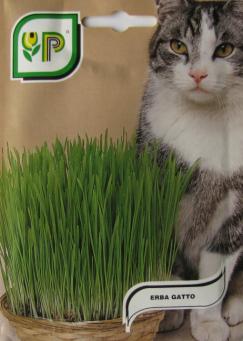 Котешка трева