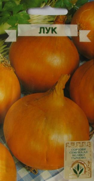 Onion Schtuttgarten