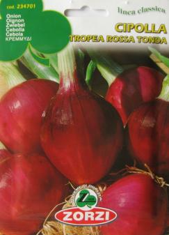 Onion Rosa Tonda