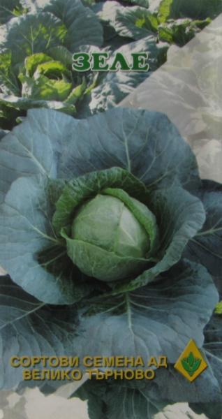Cabbage Parel F1