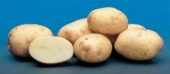 Potatoes Riviera