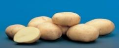 Potatoes Arthemis