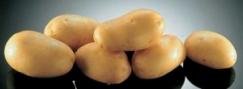 Potatoes Tresor