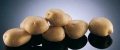 Potatoes Sante