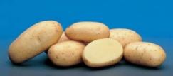 Potatoes Arnova